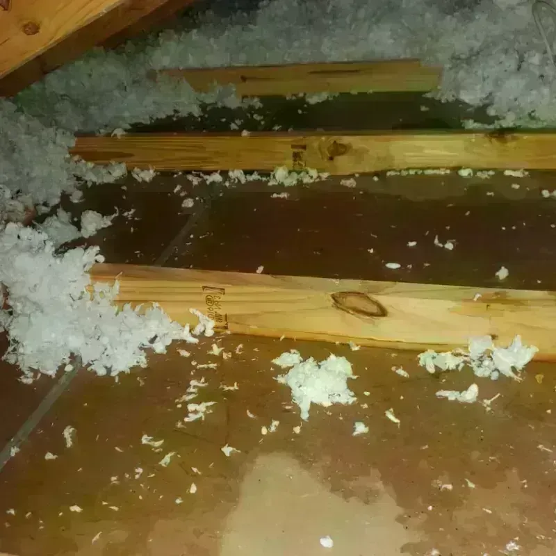 Attic Water Damage in Colfax, WI