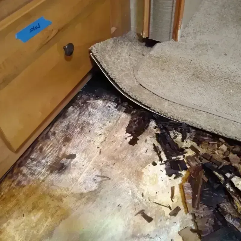 Wood Floor Water Damage in Colfax, WI